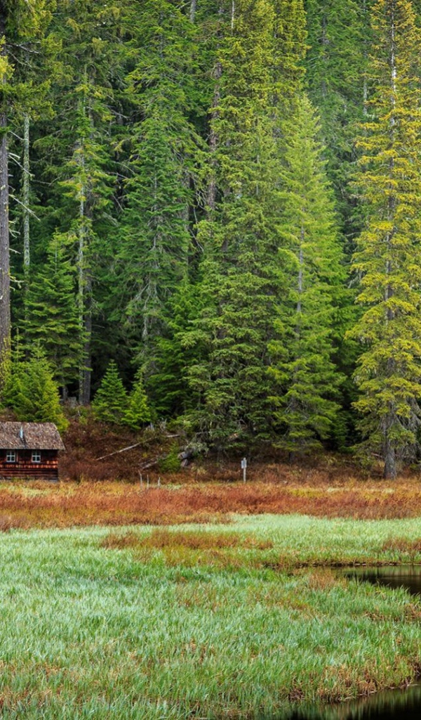 Избушка на опушке леса, Орегон