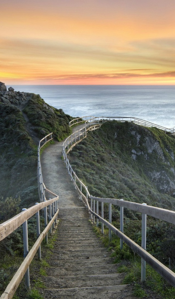 Милл Вэлли, Калифорния, США