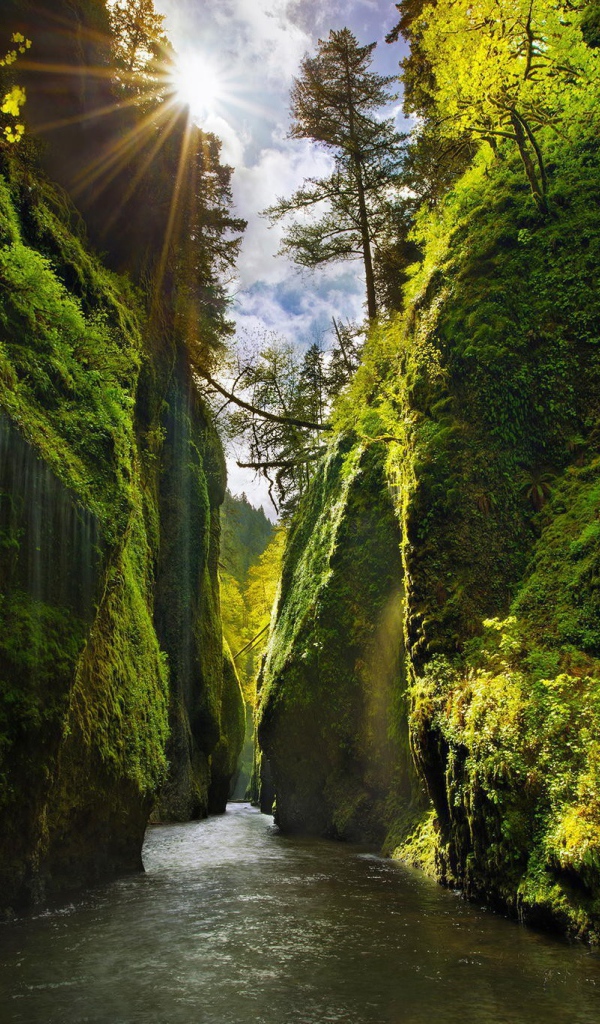 Река между отвесными скалами в Орегоне