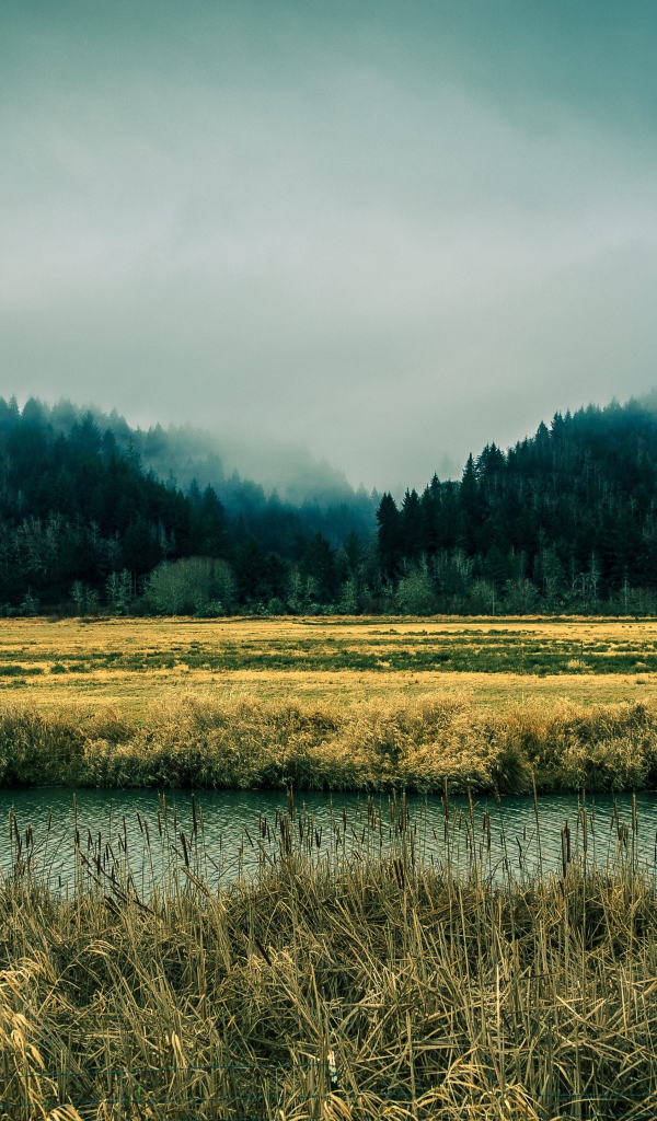 Река в болотистой местности, Орегон