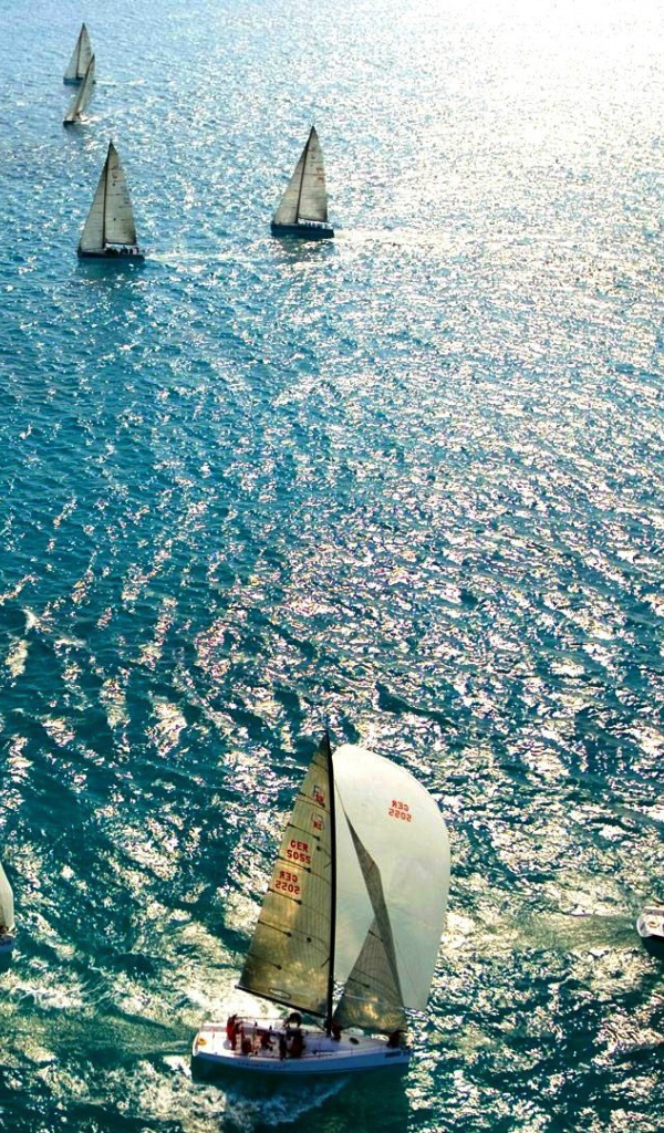 Парусные гонки во Флориде