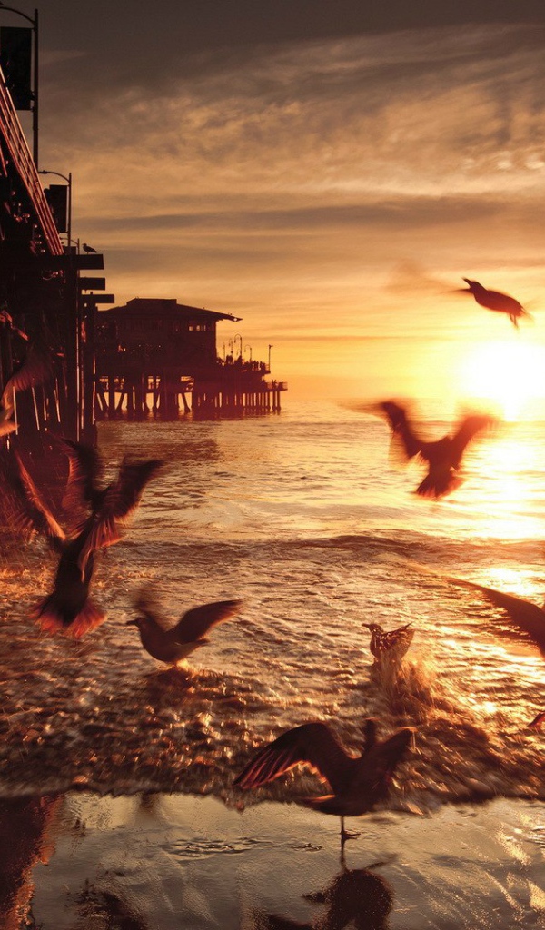 Закат в Санта-Монике. Калифорния, США