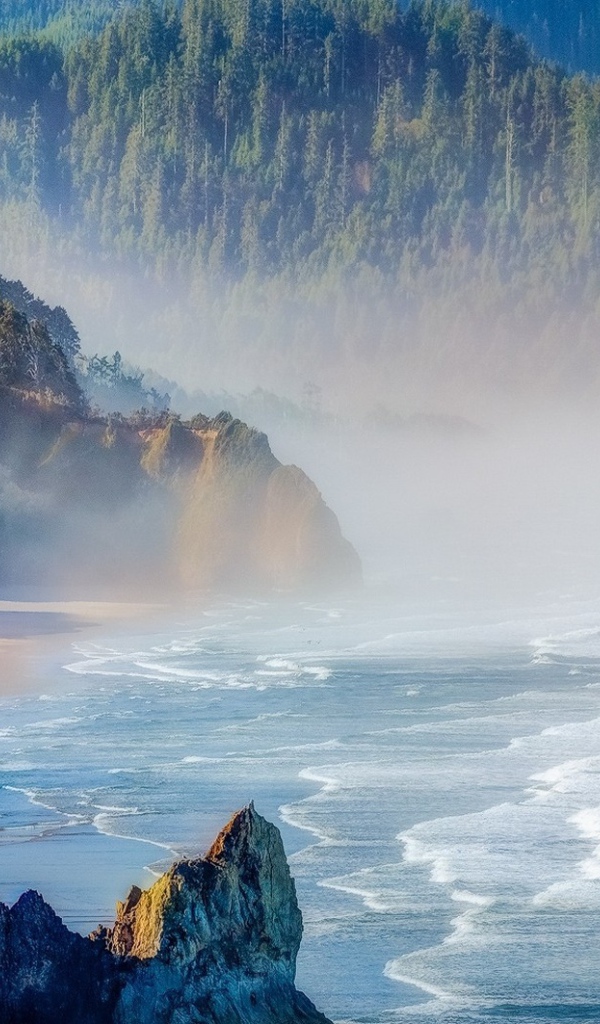 Лесистые горы на берегу в Орегоне