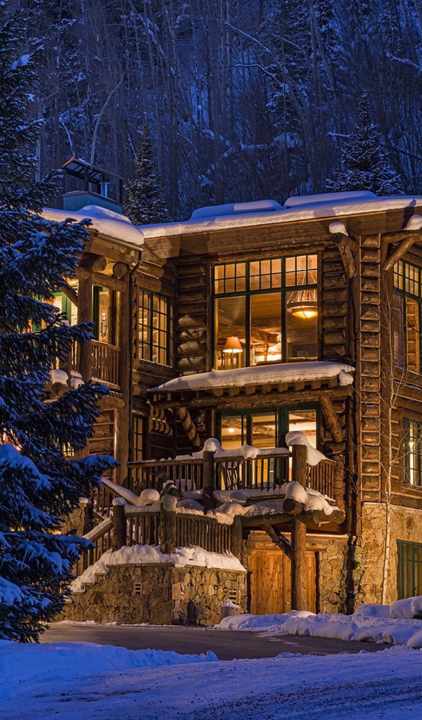 Деревянный дом в зимнем лесу в Колорадо, США