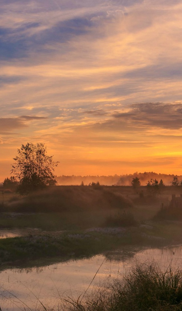 Woodland Park, Нью-Джерси, США