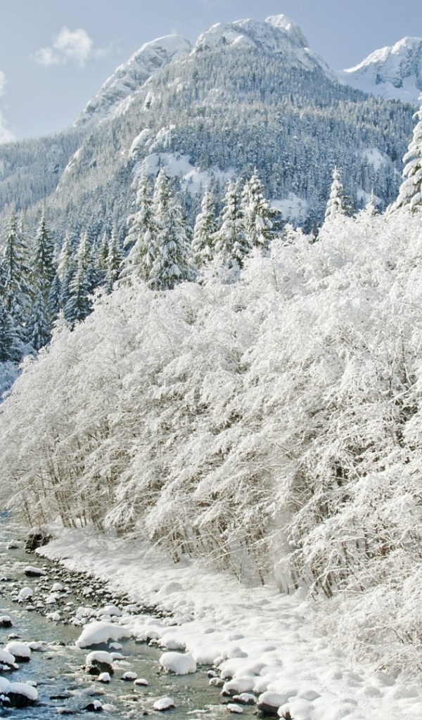 Йеллоустонский Национальный Парк , США