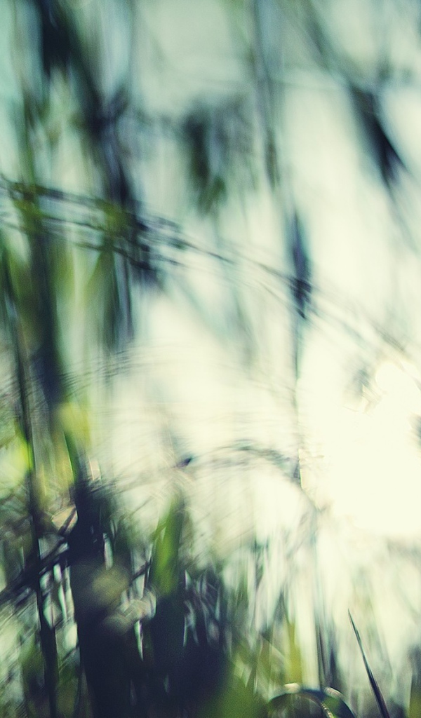 Размытое фото травы