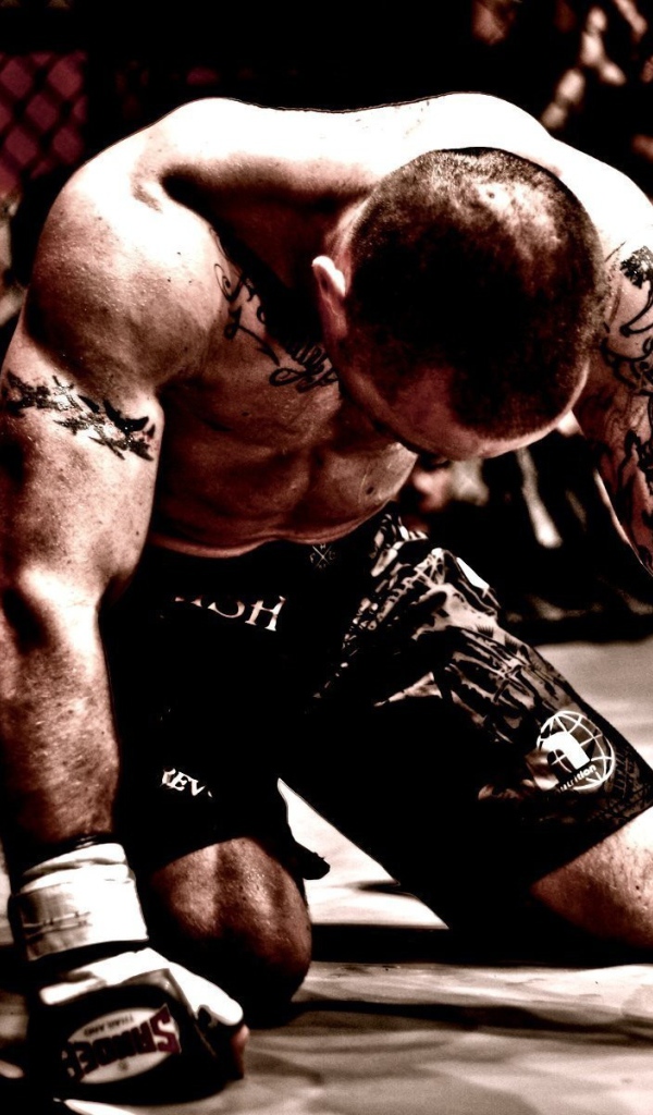 Боксер стоит на коленях на ринге