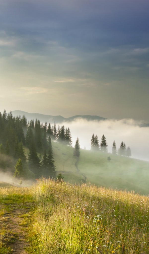 Туман в Карпатах, Украина