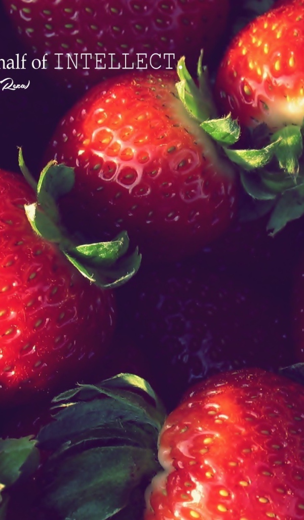 Дружелюбие, это часть интеллекта