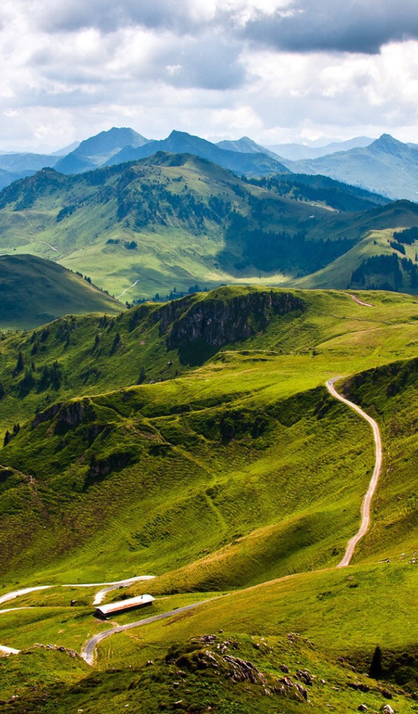 Зеленые склоны гор Карпат