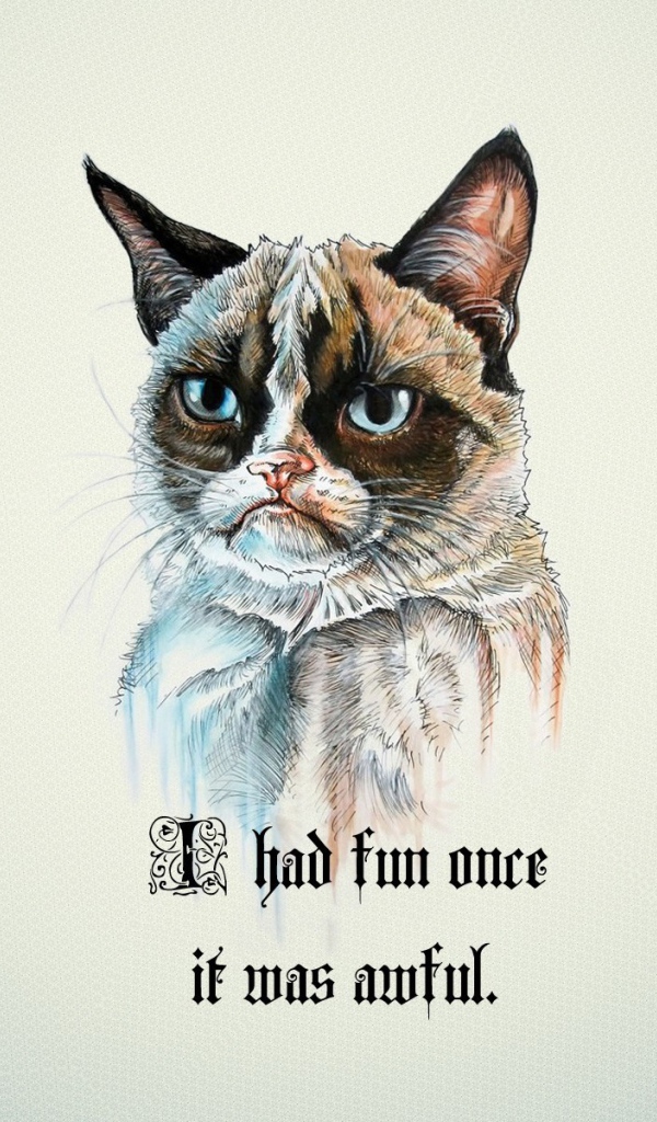 Я не люблю веселье