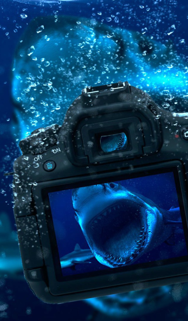 Занятие подводной фотографией