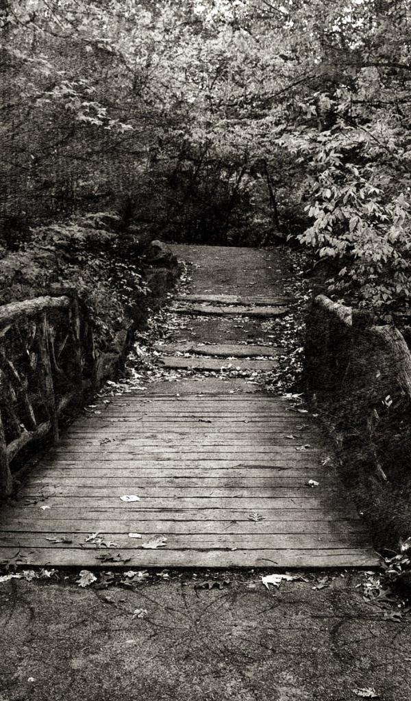 Эффект холста на черно белом фото