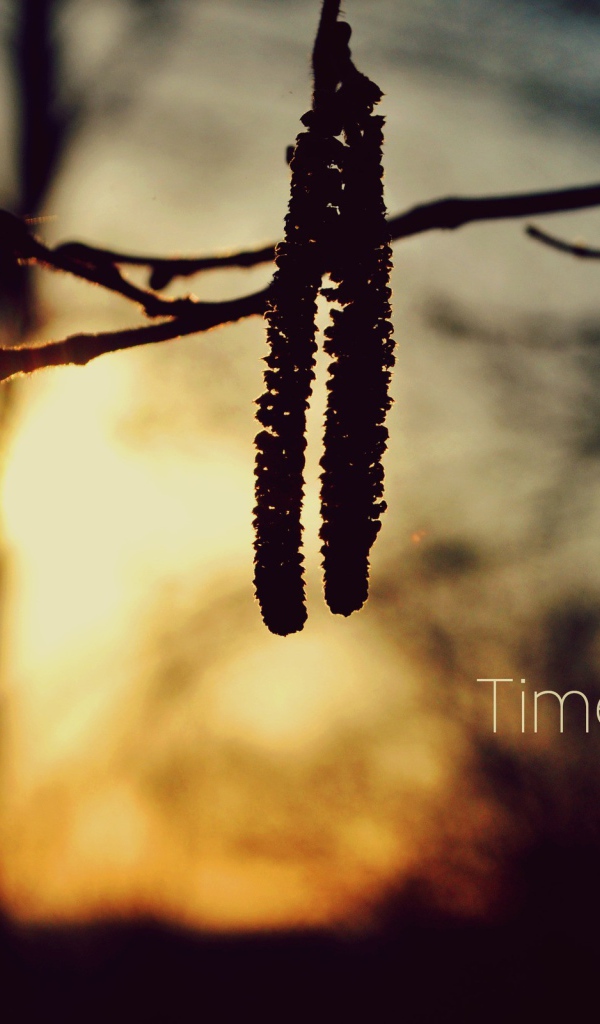 Время идет вперед