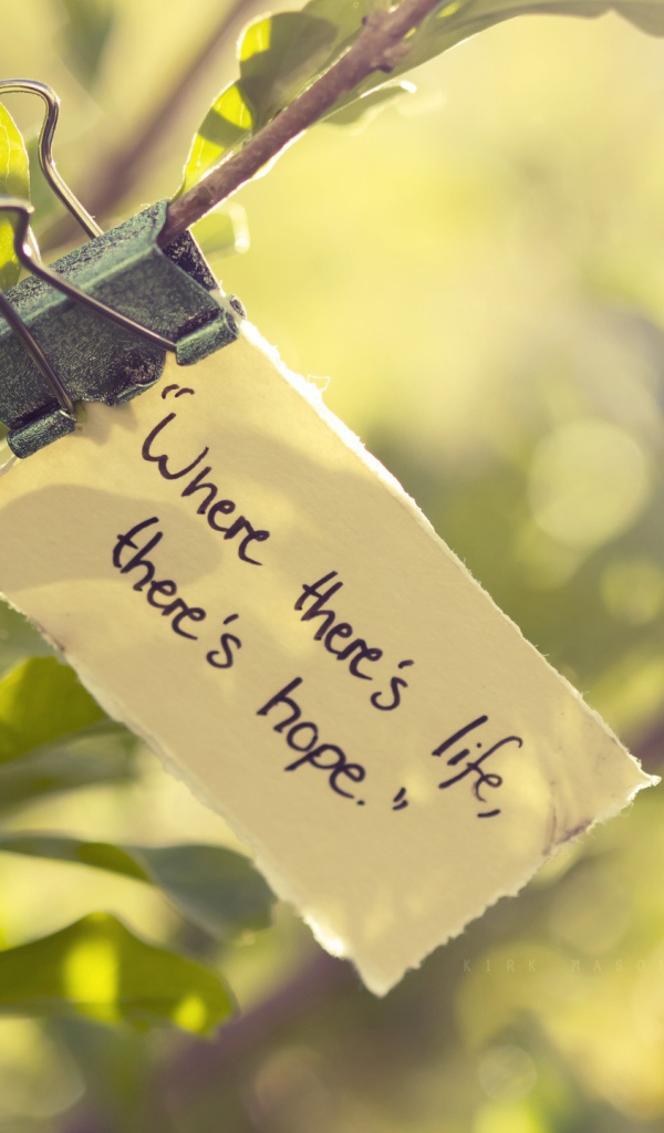 Где есть жизнь там есть и надежда