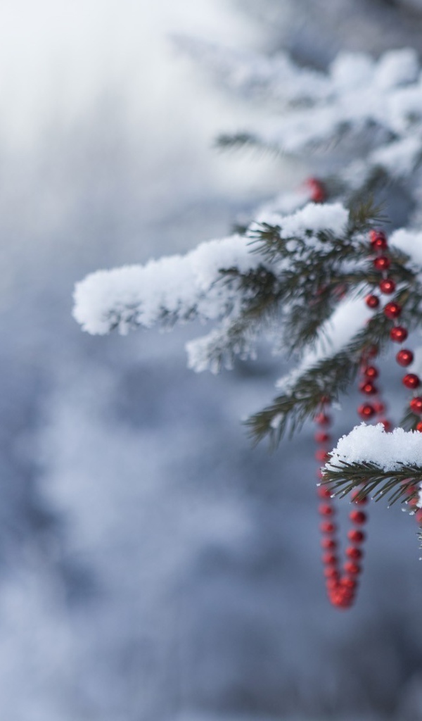 Шар на елке в лесу на Новый год 2017