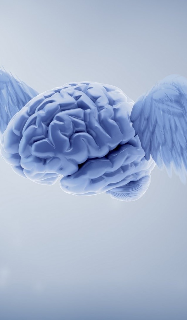 Brain with wings on a gray background 3d graphics