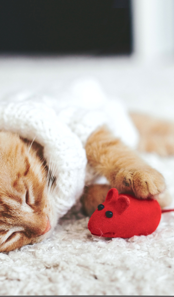 Маленький рыжий котенок спит с игрушечной мышкой