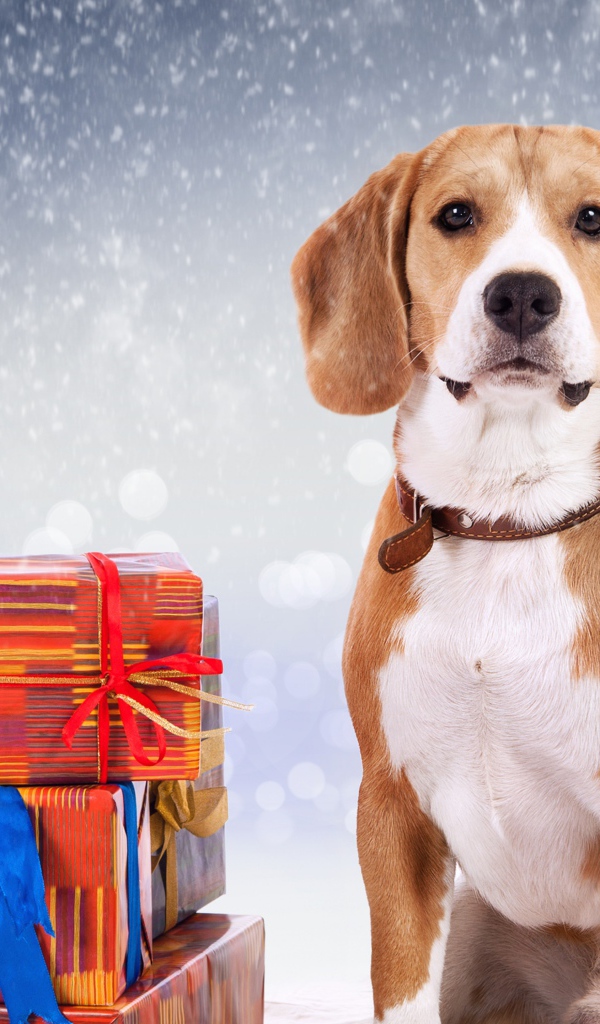 Собака символ нового года 2018 с подарками