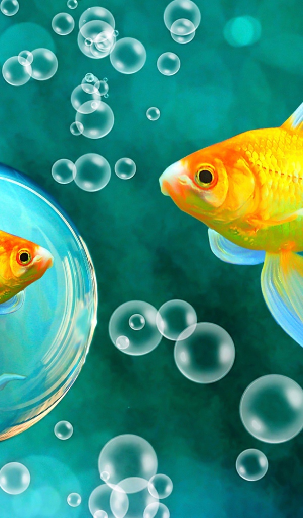 Красивые золотые рыбки под водой 
