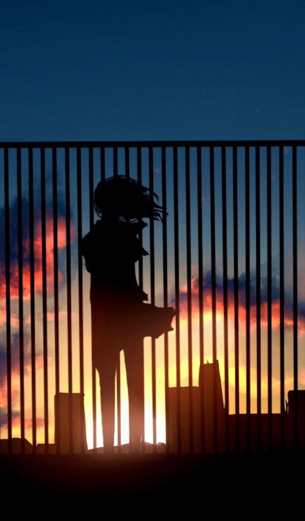 Аниме девушка на крыше смотрит на закат  