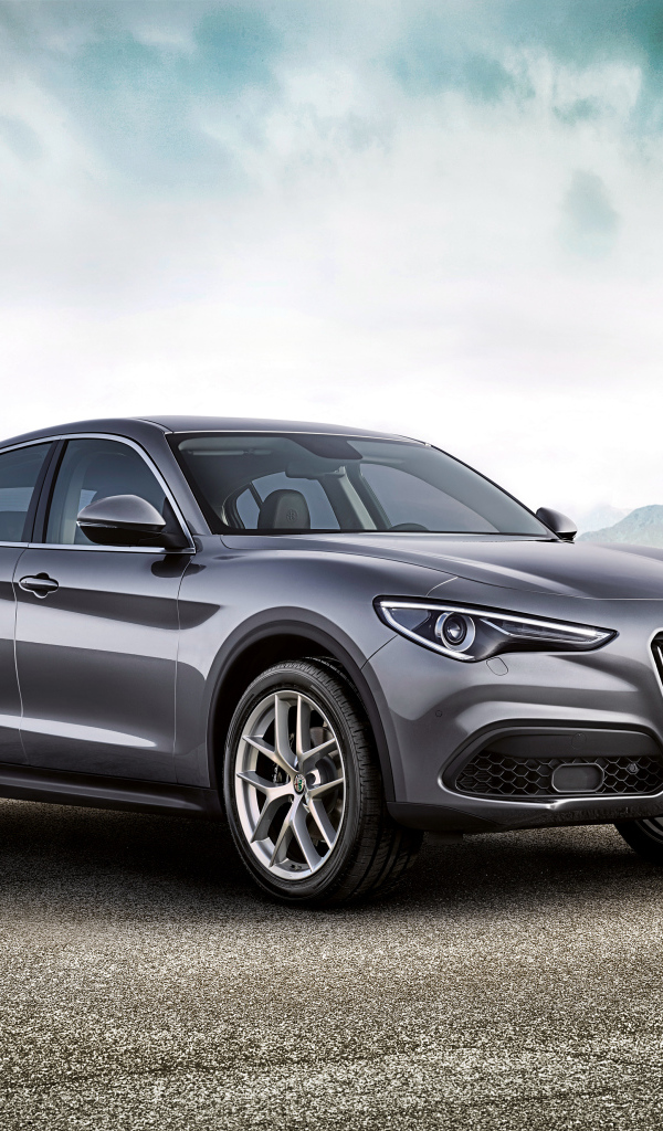 Серый автомобиль Alfa Romeo Stelvio Worldwide, 2017 
