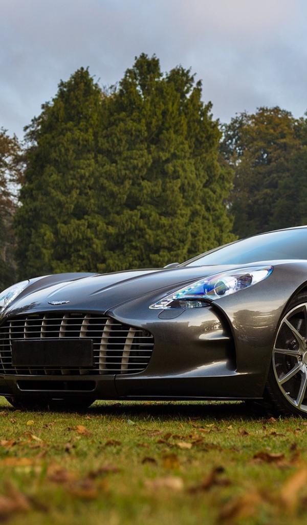 Спортивный автомобиль Aston Martin one-77 стоит на газоне