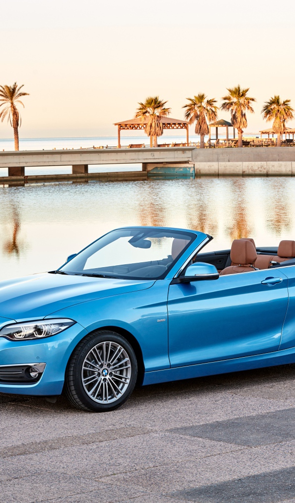 Голубой автомобиль, кабриолет BMW 230i Cabrio Luxury Line Worldwide, 2017