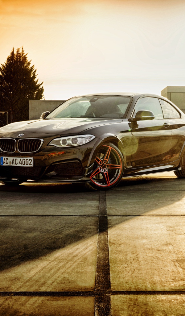 Стильный черный немецкий автомобиль BMW F22