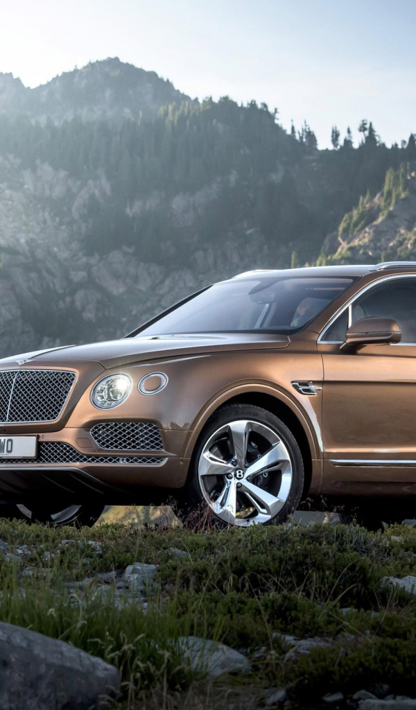 Коричневый кроссовер  Bentley Bentayga, 2017 на фоне гор
