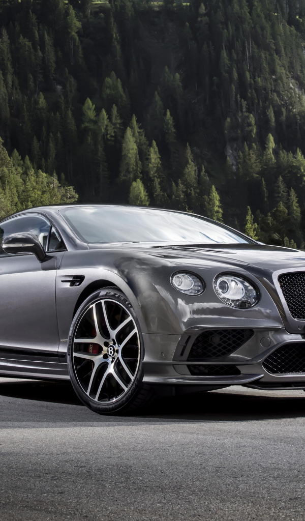 Серебристый автомобиль Bentley Continental GT на фоне леса 