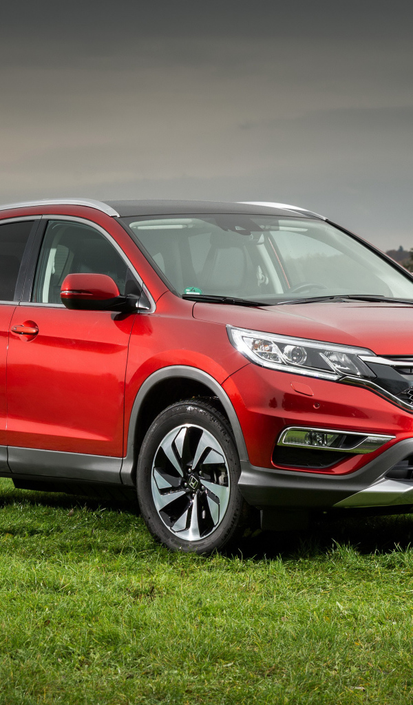 Красный внедорожник Honda CR-V стоит на зеленой траве у реки