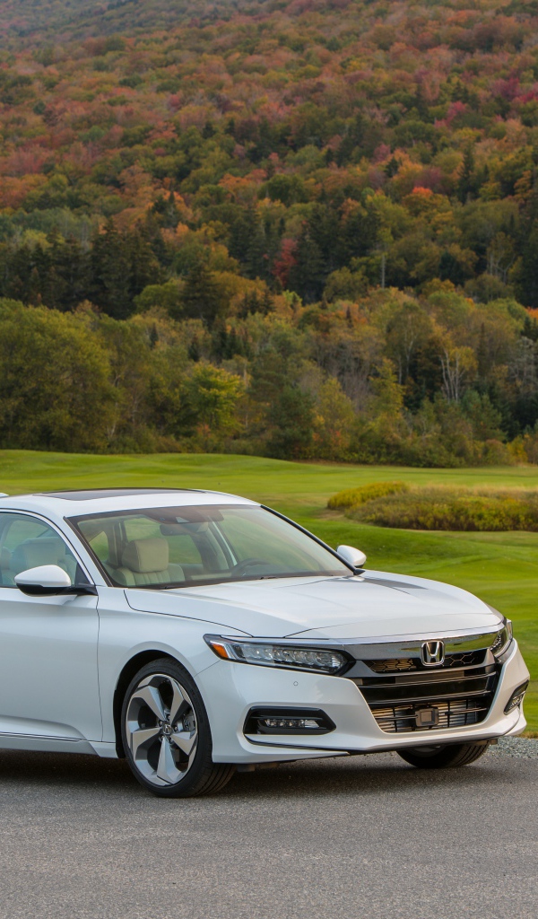 Белый автомобиль Honda Accord на фоне леса