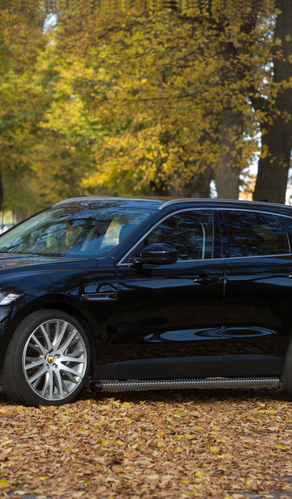 Черный автомобиль  Jaguar F-PACE стоит в парке