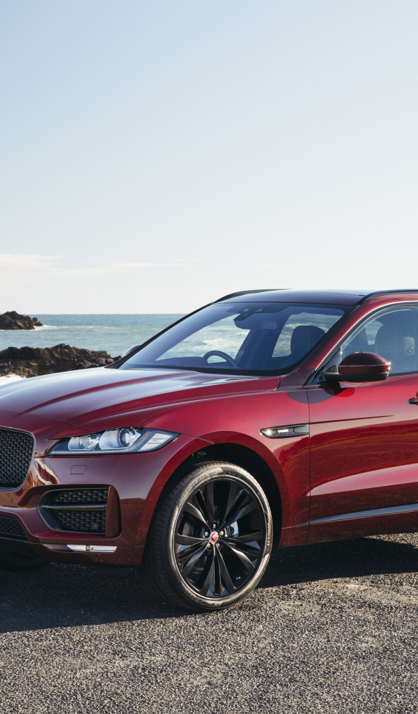 Бордовый автомобиль Jaguar F-Pace на фоне океана