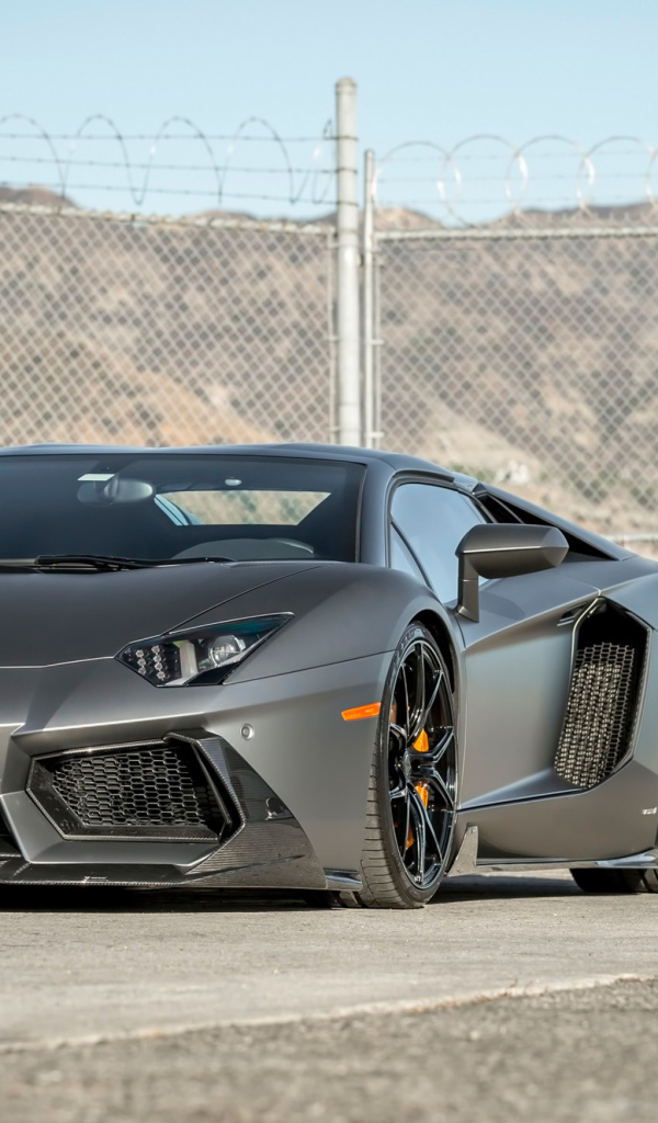 Автомобиль Lamborghini Aventador цвет серебристый металлик