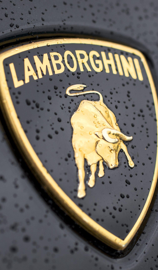 Логотип Lamborghini в каплях дождя крупным планом
