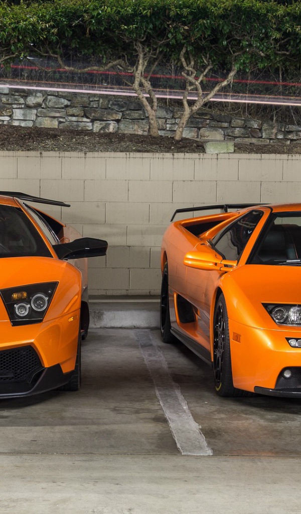 Оранжевые спортивные автомобили Lamborghini Murcielago и Lamborghini Diablo 