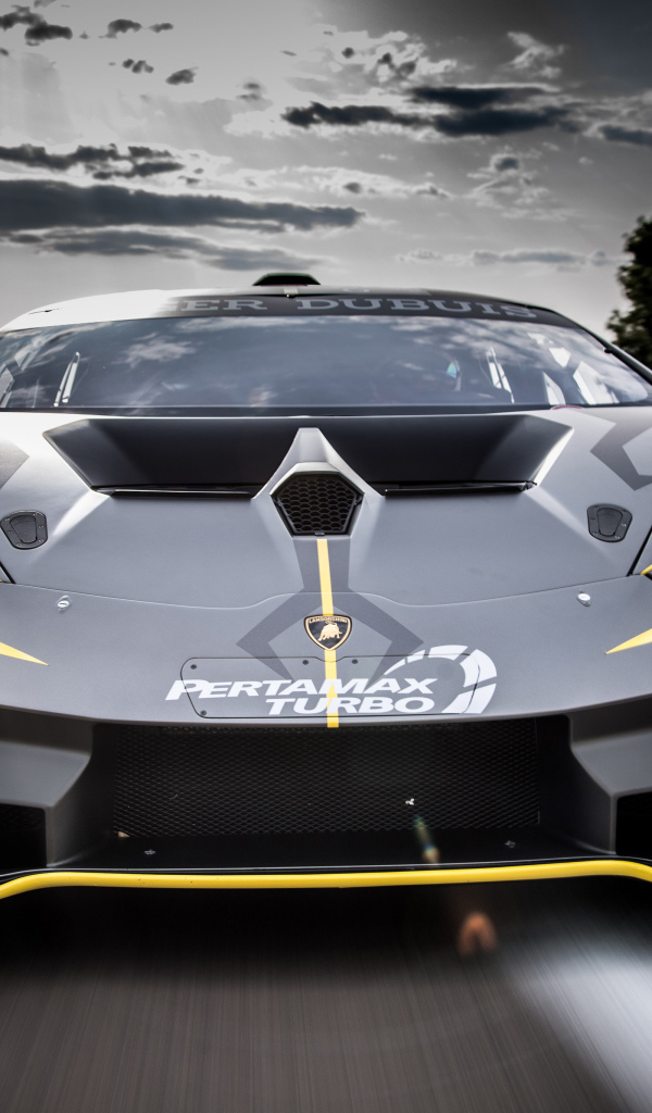 Спортивный автомобиль Lamborghini Huracan Super Trofeo EVO, 2018 вид спереди