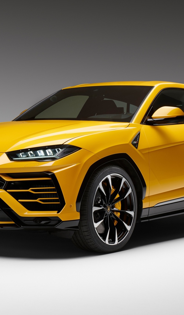 Желтый спортивный автомобиль Lamborghini Urus, 2018 на сером фоне
