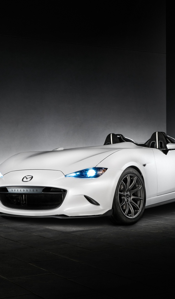 Стильный белый автомобиль Mazda MX-5 Speedster Evolution