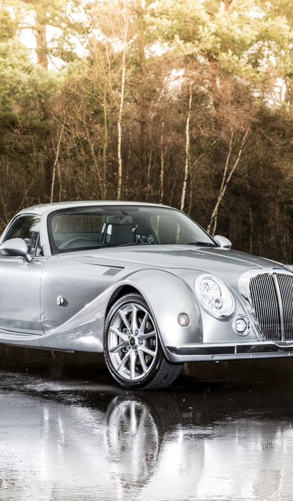 Серебристый автомобиль  Mitsuoka Roadster