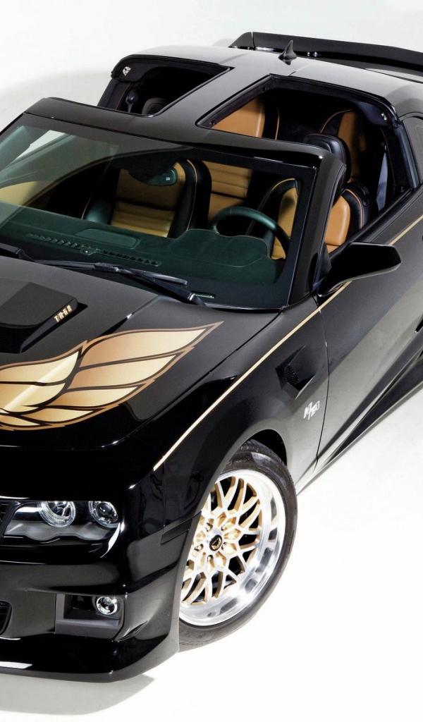 Черный спортивный автомобиль Pontiac Firebird на белом фоне 