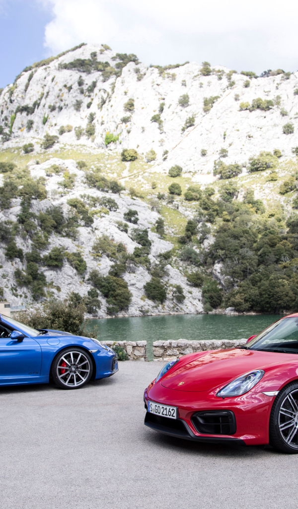 Два спортивных автомобиля Porsche Boxster и Porsche Cayman GTS  у воды 