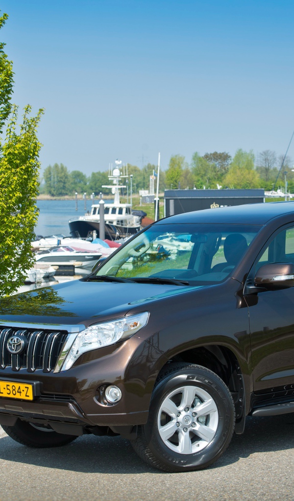 Внедорожник Toyota Land Cruiser Challenger, 2017 