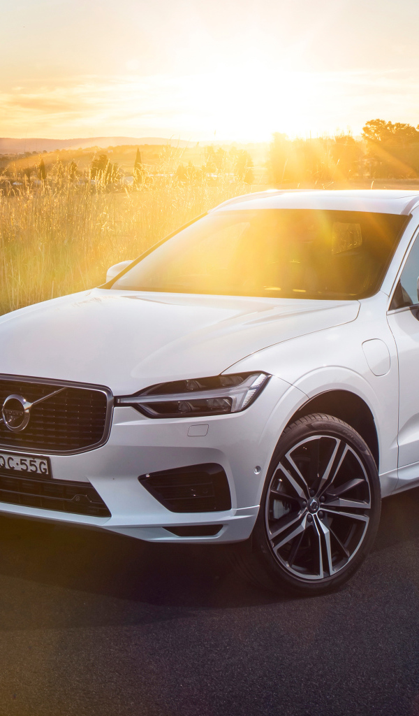 Белый автомобиль Volvo XC60 T8 Inscription, 2018 в лучах солнца