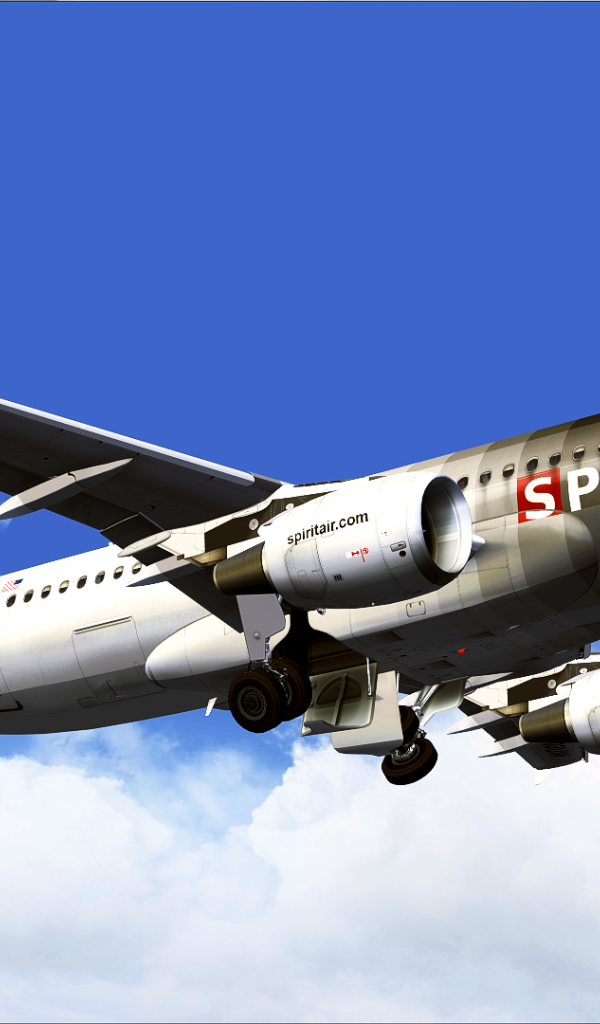 Самолет Airbus A320 авиакомпании Spirit Airlines 