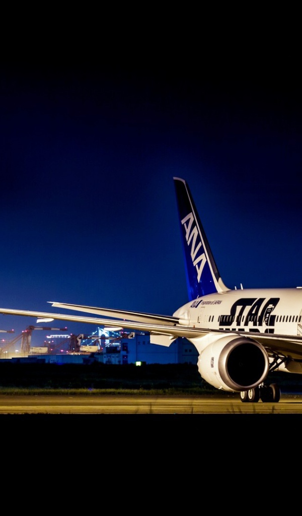 Самолет Boeing 787 в аэропорту 