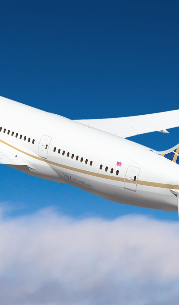 Boeing 737-800 авиакомпании United Airlines 